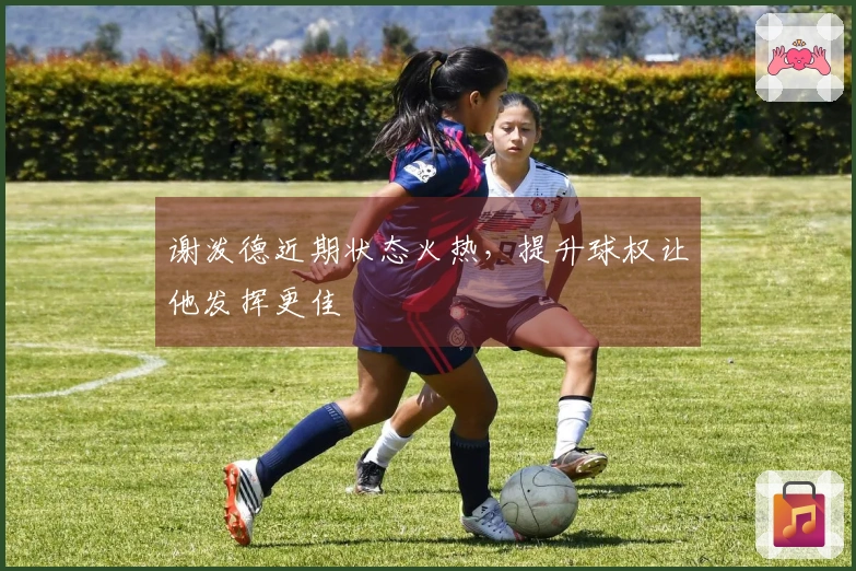谢泼德近期状态火热，提升球权让他发挥更佳