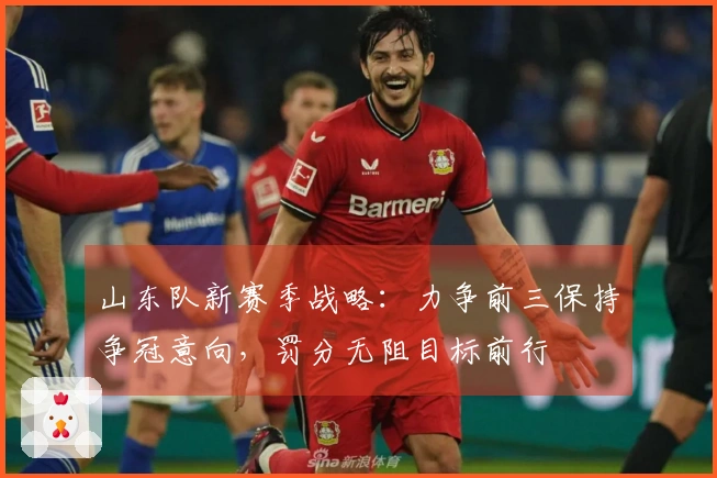 山东队新赛季战略：力争前三保持争冠意向，罚分无阻目标前行