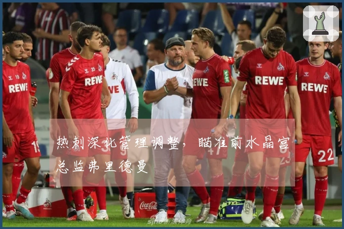 热刺深化管理调整，瞄准前水晶宫总监弗里德曼
